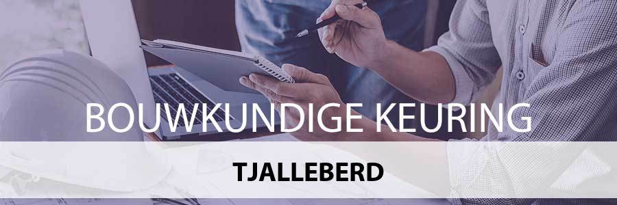 bouwkundige-keuring-tjalleberd-8458